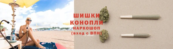 PSILOCYBIN Медногорск