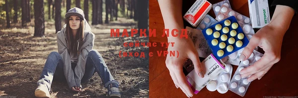 PSILOCYBIN Медногорск